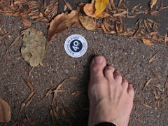 Boston by Foot? Indeed