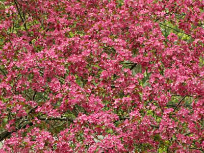 This is *completely* unrelated but makes a nice wallpaper