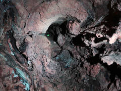 View up hollow tree, all the way