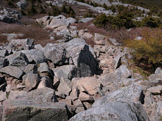Trail discoloration