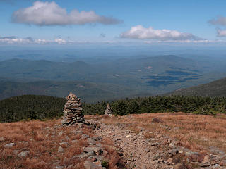 Clear of the treeline