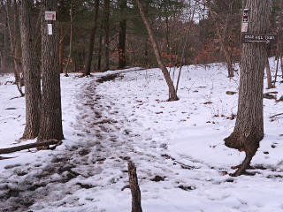 Footprints still frozen into the snow