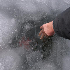 Ice is still 6 inches thick