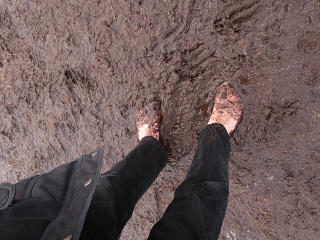 Slipsliding through the mud