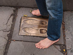 Elephant shoe-prints