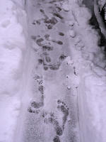 Foot tracks through snow