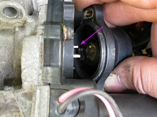 reinstalling TPS to butterfly fork