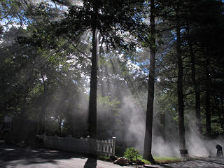 Huge cloud of dust