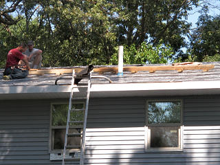 Assembling the chicken ladder