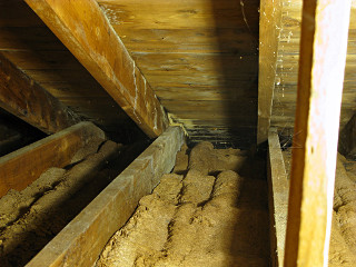 Mold in the attic