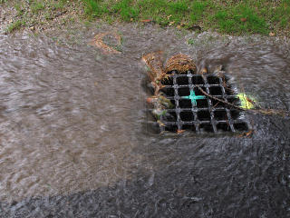 Heavy flow into catch basin