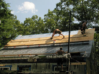 Hopping around on the roof