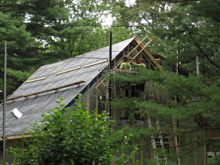 Wrangling west-gable ladders