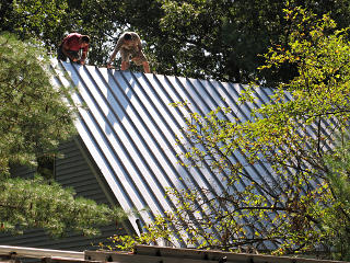 Guys on the roof