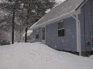 Giant mound in front yard