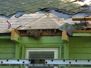 Clean roofline under portico