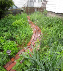 Garden path