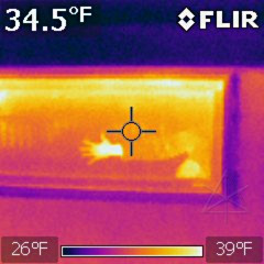 IR of basement window and hand reflection