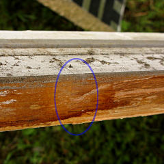 Subtle finger joint in old sill