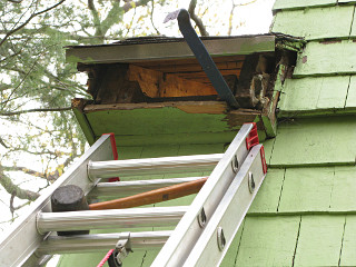 Small eave piece where bees had gotten in a few years back