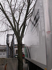Clear of the tree, backing straight