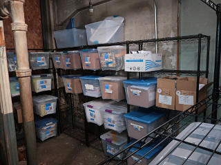 Archives neatly stashed in back room