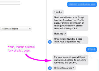useless zoom-bot chat