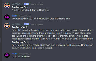 oops, too many dogs/cats  R:pets