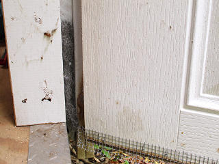 Mesh interface into steel wool jamb filler