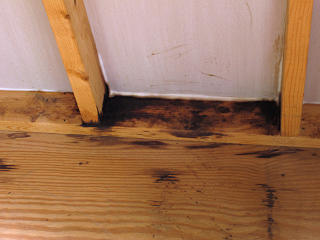 Caulked stud-bay bottoms