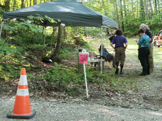 Covid station testing: first stop for guests