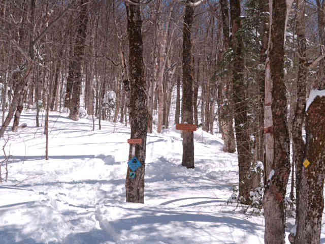 Long Trail still buried in snow