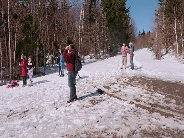 Powerline cut snow is quite trampled now