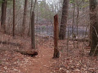 Gateway to the Dead Lands