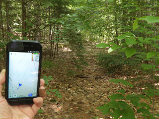 Old roadbed found in between trails