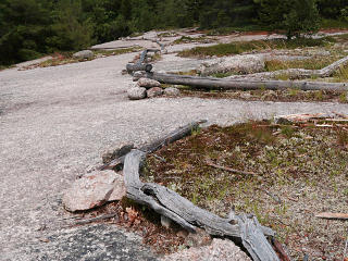 Trail edge markers made from logs