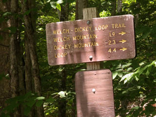 Trail sign at Welch-Dickey loop junction