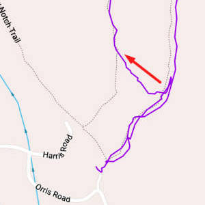 GPS trace showing short bushwhack