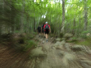 Following other hikers