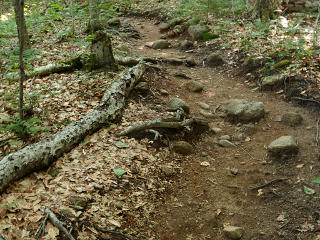 Generic dirt and rocks