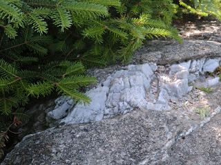 Vein of white quartz