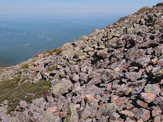 Rough native scree along trailside