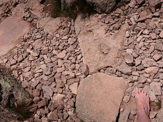 Some gravelly terrain, not all