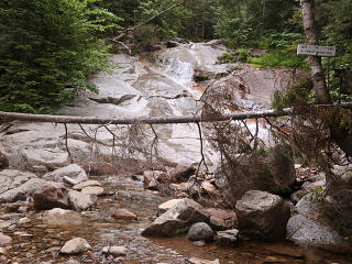 Tree fallen across one waterfall