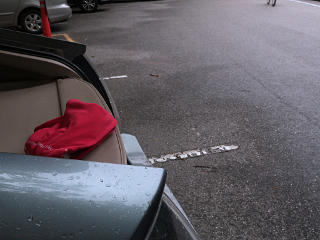 It *just* started raining at return to car