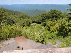 Reached the road, and the first real view