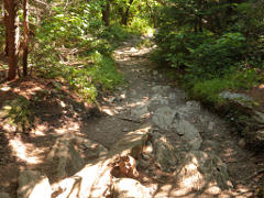 Starting down, AT segment to Notch Rd