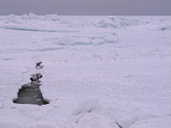 Buzzards Bay frozen