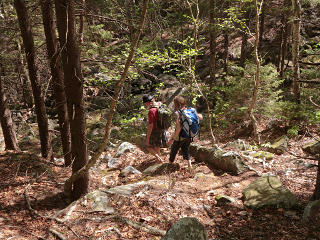 Bushwhacking down a wild trail