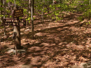 Junction to Lost Farm trail